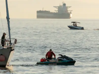 Vancouver Park Board to Explore Restricting Personal Watercraft After Whale Strike