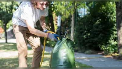 Vancouver Residents Encouraged to 'Adopt' a Tree for Urban Greening
