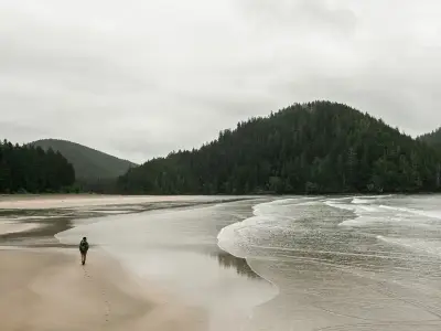 Viral B.C. Beach Tourists Stranded on Remote Logging Roads
