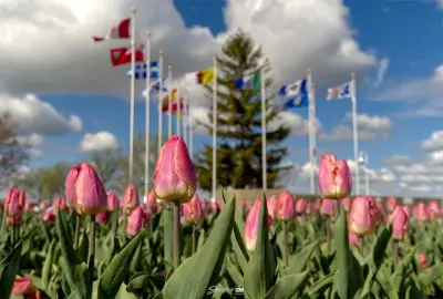 Warm, Sunny Weekend Ahead with Hot and Humid Days