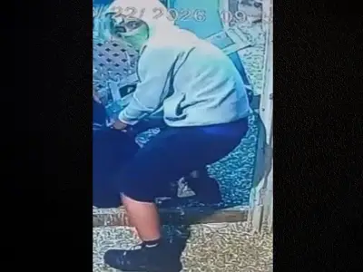 Windsor Police Arrest One Suspect in $30K Exotic Bird Theft