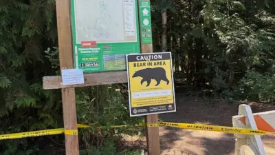 Woman attacked by bear after off-leash dog chased cub on B.C. trail