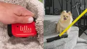 11 Best Pet Hair Removers for a Fur-Free Home in 2024