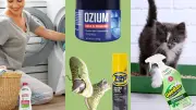 15 Best Odor Eliminators for a Fresh Home