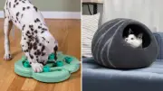 24 Can't-Miss Pet Deals From Amazon Canada's Prime Day Sale