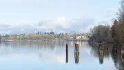 3 hospitalized after boat crashes into train bridge pillar in Maple Ridge, RCMP