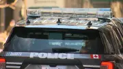 4 People Including Child Hospitalized After TTC Bus Collision in Toronto