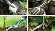 40% Off Gardening Tool Set with Bag at Amazon - Perfect for Backyard