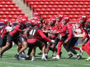 5 Key Factors for Stampeders' 2026 Grey Cup Run at Home