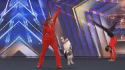 Alberta Dog Trainer Returns to 'America's Got Talent' Stage with Canine Comedy