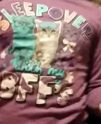 ALERT Releases Photo of Child's Shirt to Identify Sexual Assault Victim