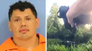 Alligator Helps Police Catch Impaired Driving Suspect in Louisiana Swamp