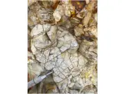 Almadex Stakes Epithermal Precious Metals Prospect in Idaho