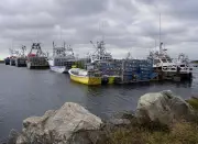 Atlantic Fire Prompts TSB Investigation in Nova Scotia