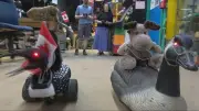BC Couple Builds Canadian-Inspired Robots Including Celine Dion-Singing Loon