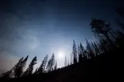 B.C. Snowpack Far Below Normal Ahead of Wildfire Season
