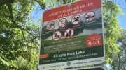 Boats Banned at Kitchener's Victoria Park Lake Due to New Regulations