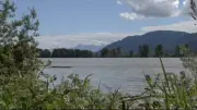 Body Found in Fraser River Weeks After Man's Reported Fall