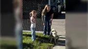 Calgary Police Catch Runaway Sheep in City's North End