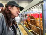 Calgary Stampede's Agriculture Education Strategy: Feeding the Future