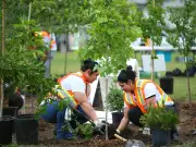 Calgary to Plant 1,400 Trees in Parks to Expand Urban Canopy by 6% by 2060