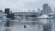 Can You Bring an Umbrella to Watch Vancouver FIFA Games?