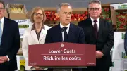 Canada PM Carney Downplays Gordie Howe Bridge Delay as 'No Great Drama'