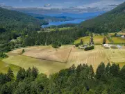 Canada's Only Commercial Olive Farm on Salt Spring Island Heads to Auction