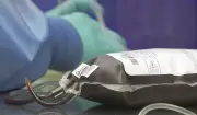 Canadian Blood Services Urges Donations Ahead of Canada Day as Summer Cancellations Rise