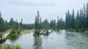 Canmore Flooding: Fast Rivers, Localized Flooding, But Not 2013 Levels
