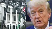 Celebrities Decline Invitations to Trump's UFC Event at White House
