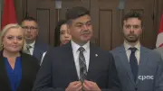 Conservative MP Introduces Magic Mushroom Treatment Bill for Therapy