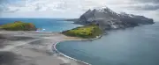 Deadly Bird Flu Decimates Seal Pups on Sub-Antarctic Islands