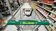 Dollarama not liable for $3,400 vet bill after birdseed sickens dog