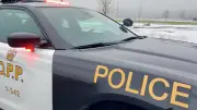 Driver charged in fatal February Highway 17 crash in northern Ontario