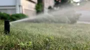 Dry Weather Prompts Stage 3 Water Restrictions in Nanaimo