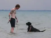E. coli Warning Issued for Five Windsor-Essex Beaches by Health Unit