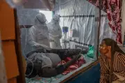 Ebola Cases Surge 40% in a Week as Death Toll Exceeds 200