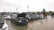 Edmonton Father's Day Car Show dazzles for 23rd year