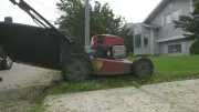 Edmonton Landscaping Delayed by Heavy June Rain as Plants Thrive