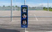 Edmonton Stocks Parks with Free Sports Equipment Like Balls and Frisbees