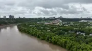 Edmonton to See Spike in Mosquitoes After Heavy Rainfall