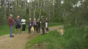 Edmonton West-End Dog Park Concerns Aired to City Councillor Staff