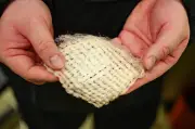 Engineers Create Jacket That Harvests Drinking Water from Air