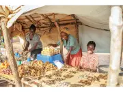 Entrepreneurship Model Reduces Extreme Poverty Among Refugees, New Study Shows