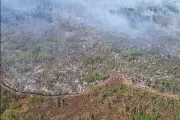 Evacuation Order Lifted for RMs Affected by Lobstick Fire