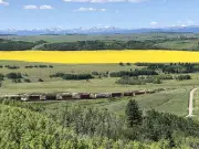 Explore Unspoiled Views at Glenbow Ranch and Haskayne Parks Near Calgary