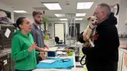 Free Pet Clinic for Calgary Seniors Offered by AARCS This Month