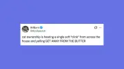 Funny Pet Posts to Make You Howl with Laughter This Week