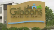 Gibbons begins hand-counting votes to decide town's future